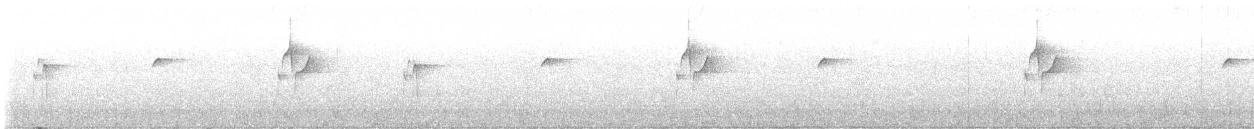 Western Flycatcher (Pacific-slope) - ML616552701