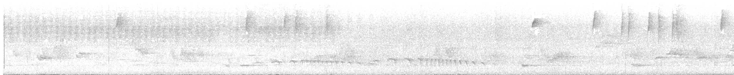 Olivgrau-Ameisenvogel - ML616552722