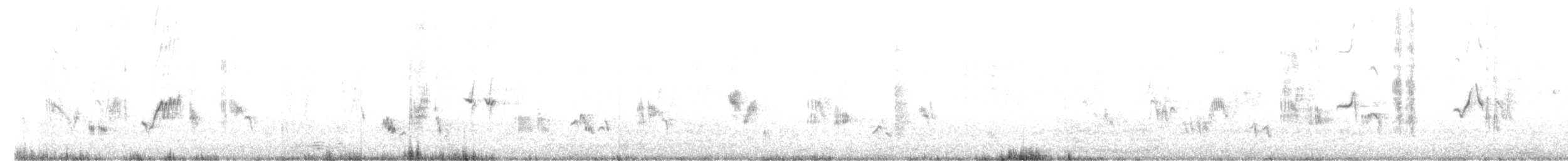 svartsteinskvett - ML616555001