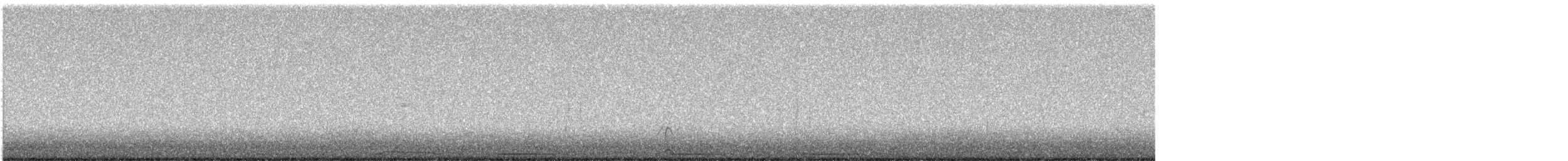小斑背潛鴨 - ML616555441