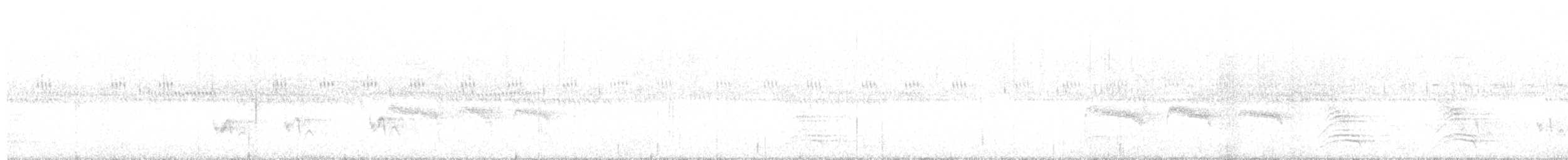 skogtyrann - ML616555502