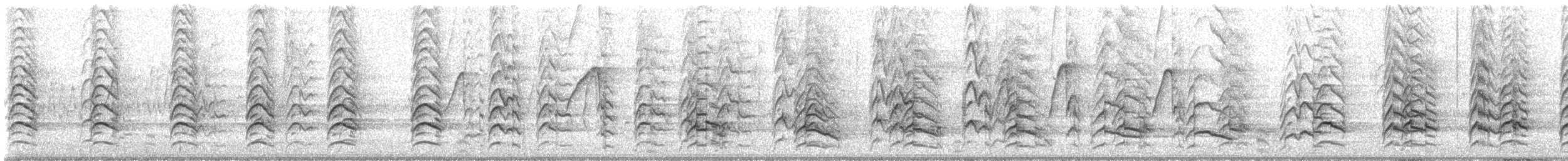 Rotschulterbussard (elegans) - ML616555875