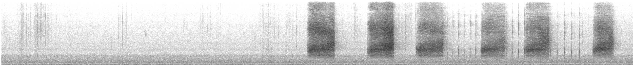 Geai à gorge blanche - ML616556155