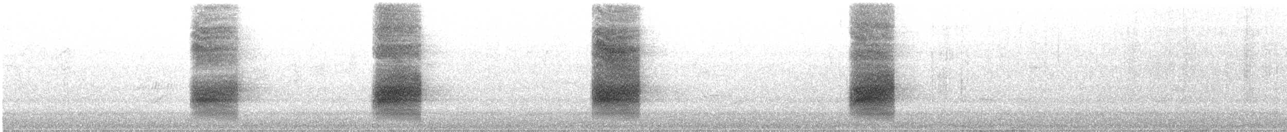 Geai à gorge blanche - ML616556158