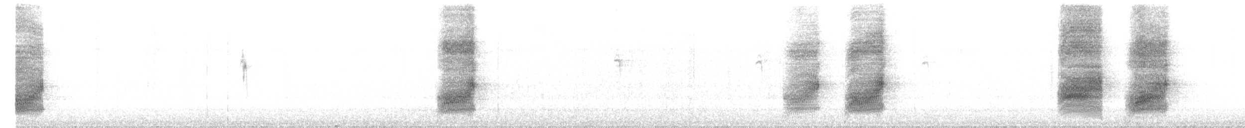 Geai à gorge blanche - ML616556166