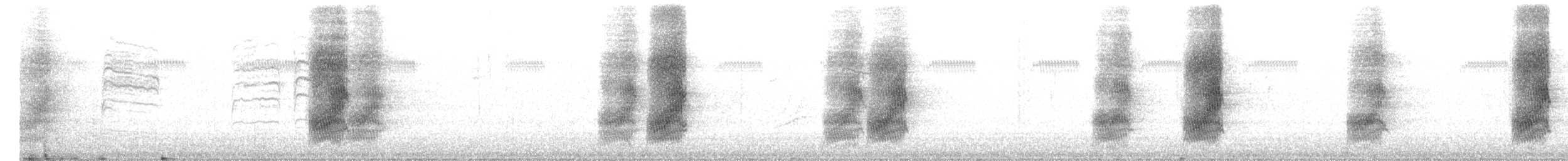 Geai à gorge blanche - ML616556168