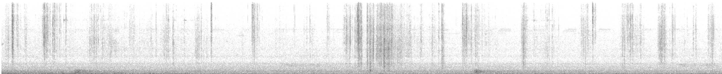 Geai à gorge blanche - ML616556169