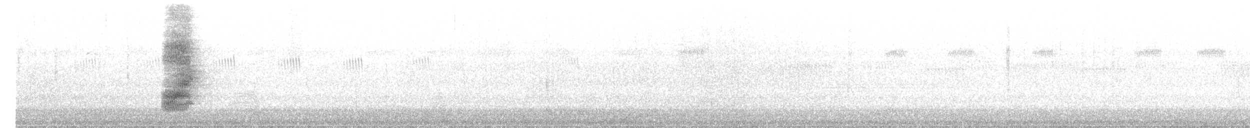 Geai à gorge blanche - ML616556177