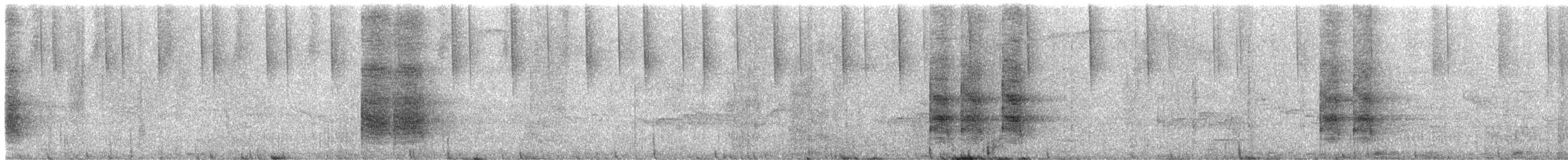 grønnskrike (yncas gr.) - ML616557933