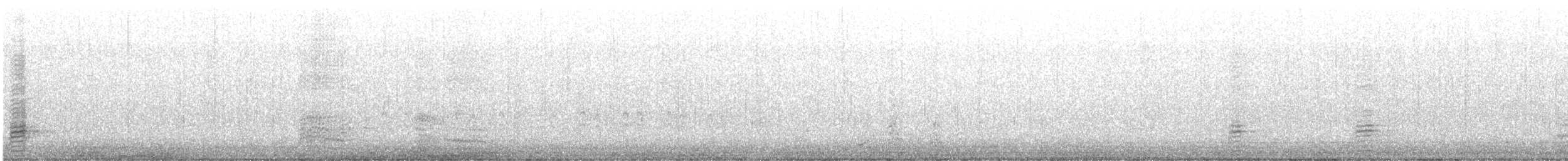 綠頭鴨(馴化) - ML616558330