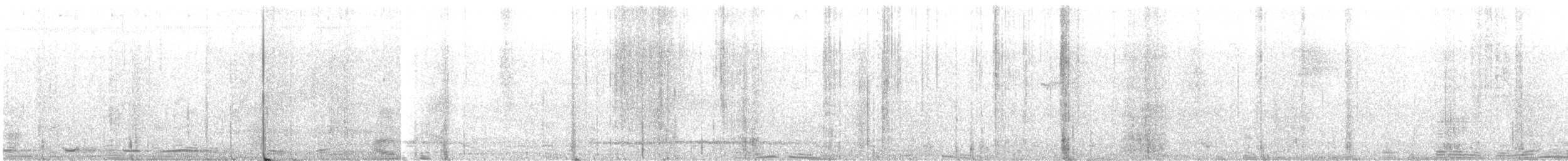 holub krátkozobý - ML616558840