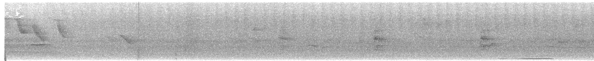 holub bledočelý - ML616561264