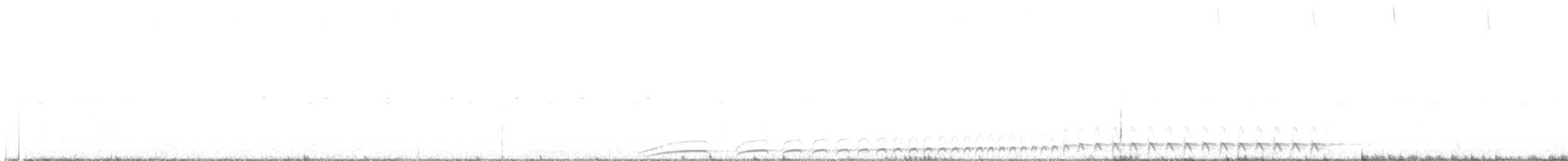 White-throated Nightjar - ML616561429