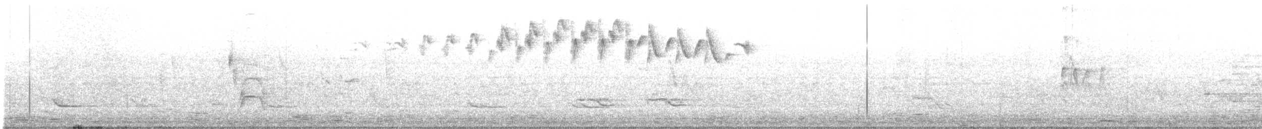 Northern/Mangrove Yellow Warbler - ML616566435