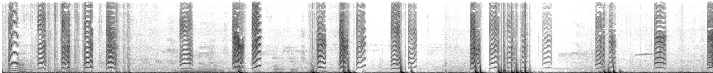 White-throated Flycatcher - ML616566793