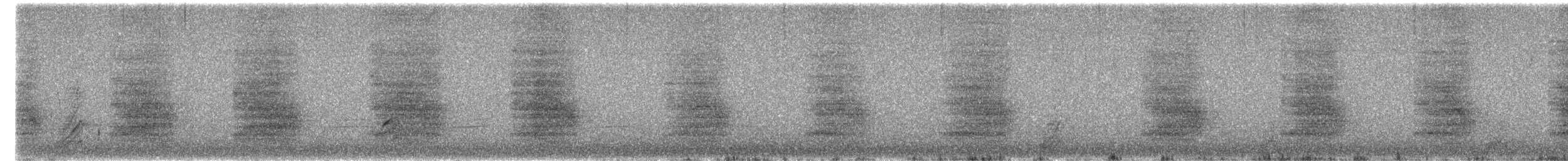 Chara de Steller (grupo diademata) - ML616571000