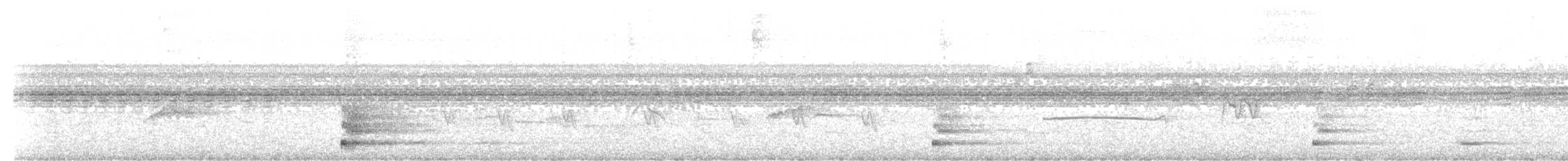 skjeggklokkefugl - ML616571975