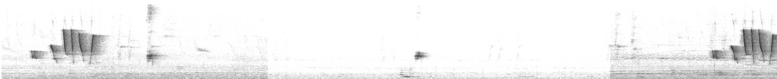 Широкохвістка світлонога - ML616572432