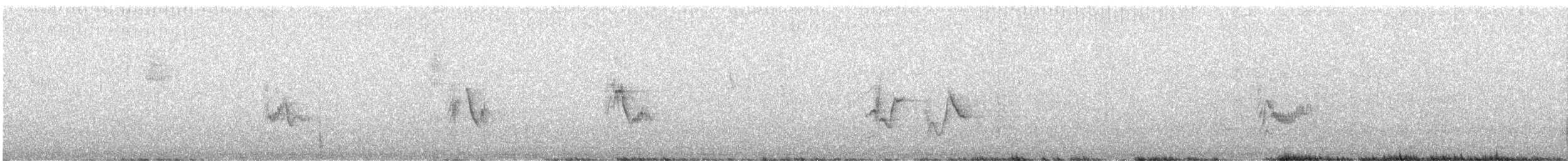 Cassin Vireosu - ML616574447