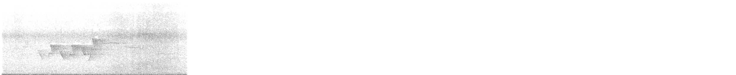 Magnolia Warbler - ML616574454