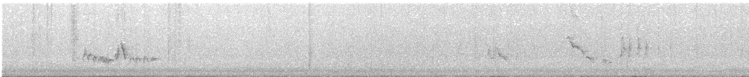 Townsend's Solitaire - ML616574536