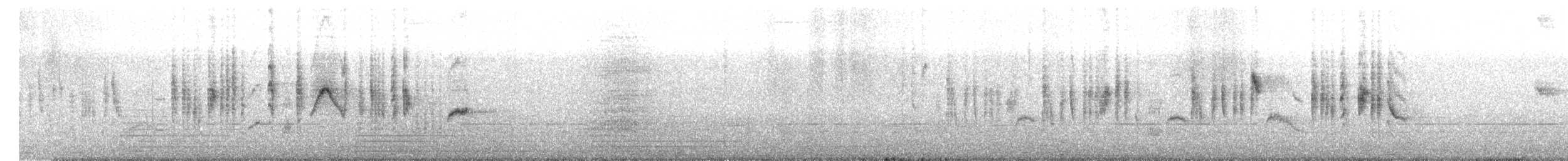 Occhiocotto - ML616575772