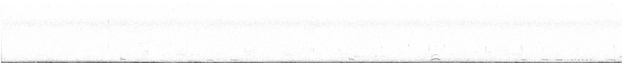 Cygne siffleur - ML616575810