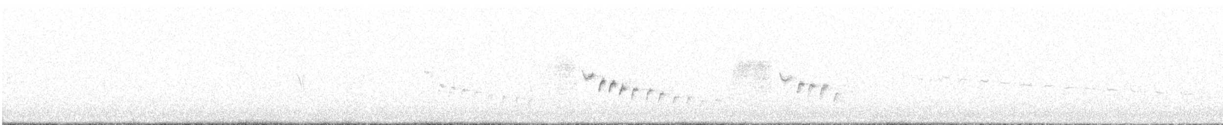 Каньонный крапивник - ML616575838