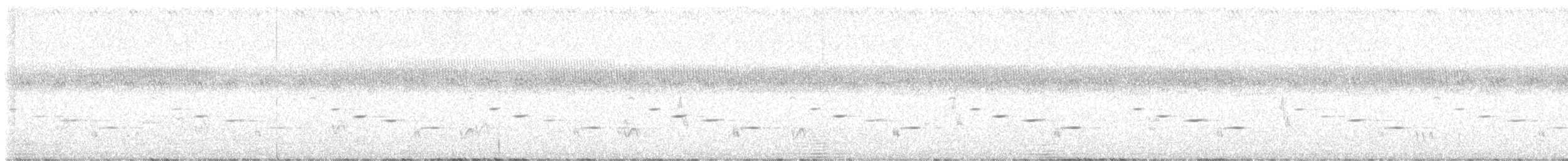 Psophode carillonneur - ML616576304