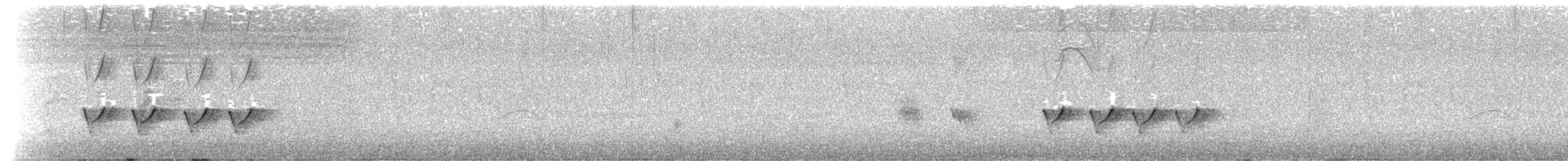 Трупіал чорноволий - ML616576781
