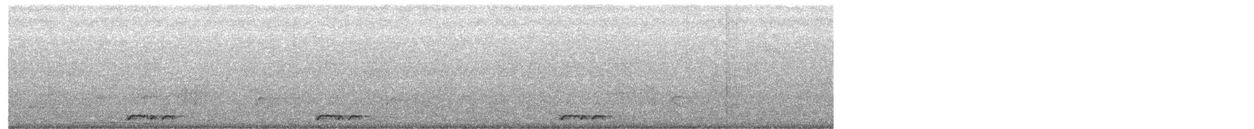 holoubek vlnkovaný - ML616578823
