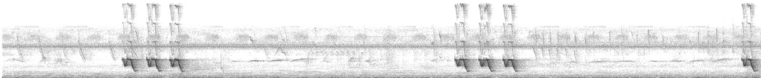 Gonolek des papyrus - ML616579388