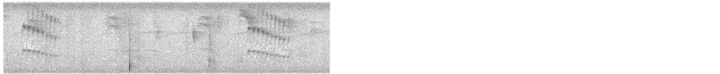 Beyaz Botlu Raketkuyruk - ML616579530