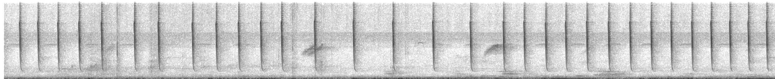 Colibri hirondelle - ML616580570