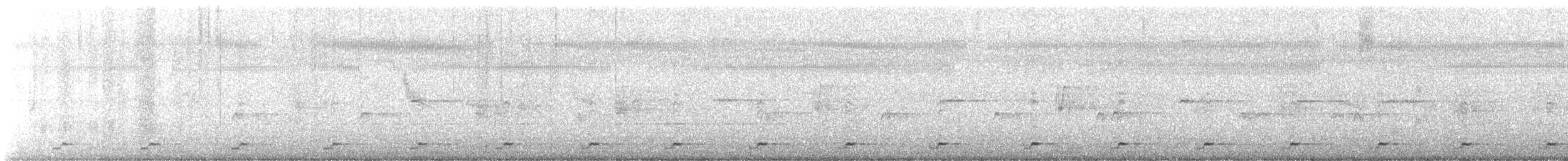 Ak Göğüslü Suyelvesi - ML616581211