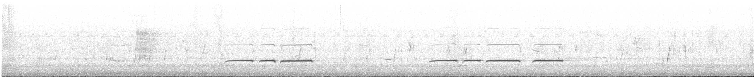 ハジロクロミツスイ - ML616582754