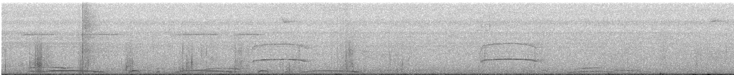 holub neotropický - ML616583135