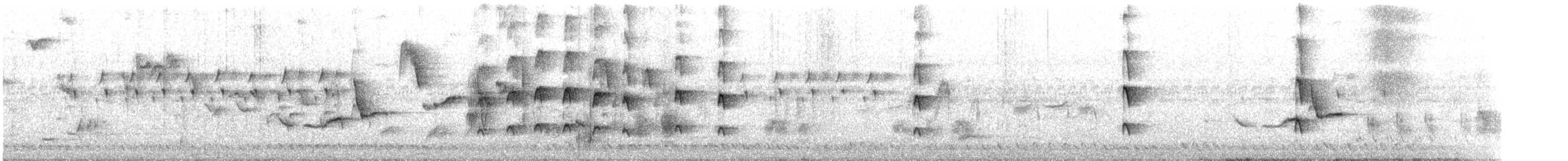 灰胸秧雞 - ML616583715