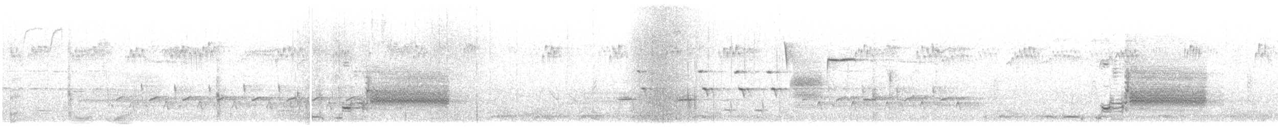 Поплітник каролінський - ML616584665