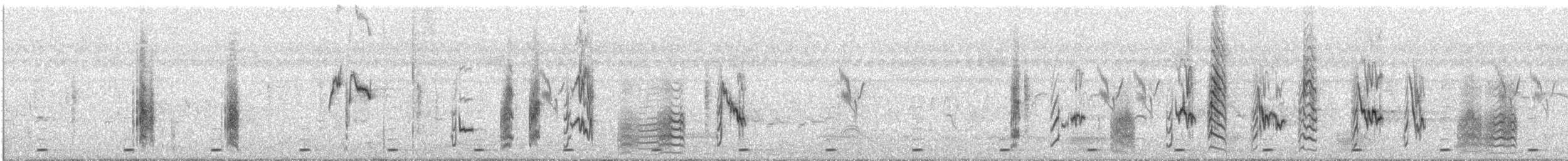 Long-tailed Shrike - ML616585793