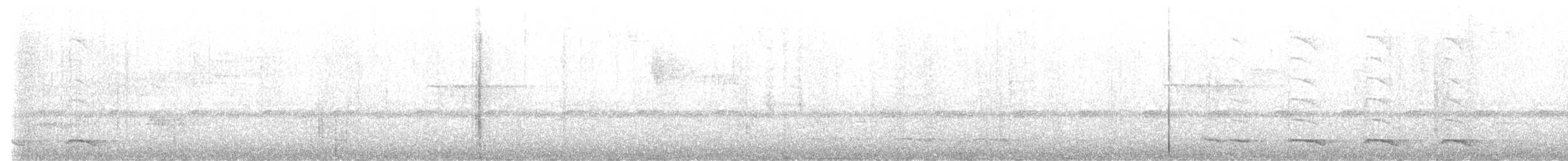 Trogon rosalba - ML616589478