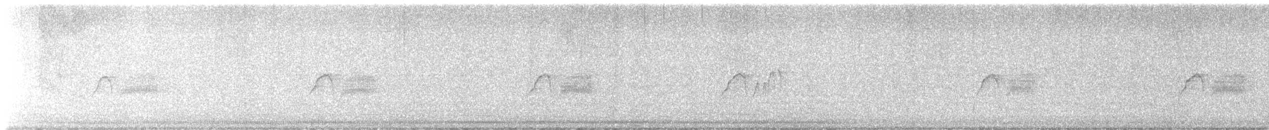 Светлобрюхий фиби - ML616589513