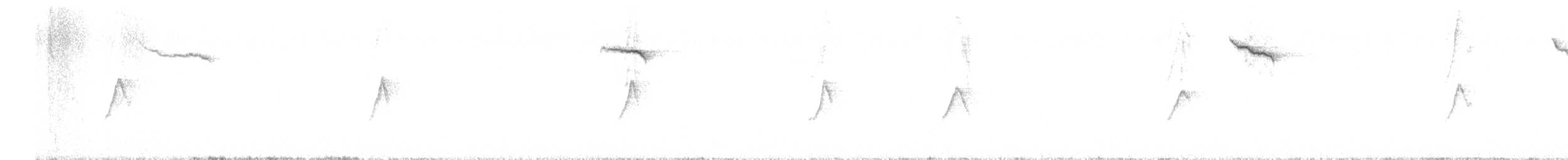 gransanger (collybita gr.) - ML616589533