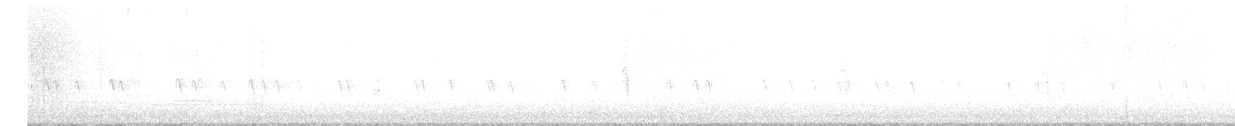 Шишкар ялиновий - ML616590462
