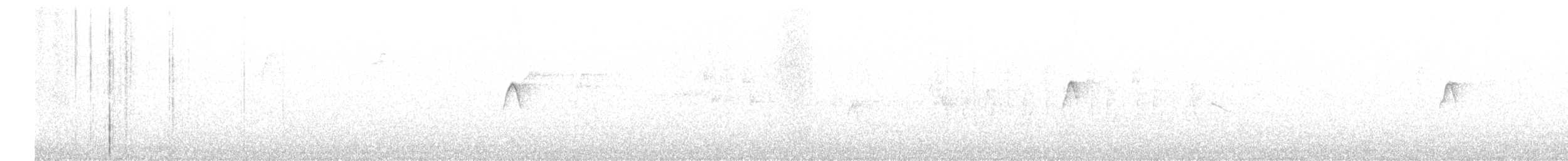 Common Chiffchaff (Common) - ML616590649