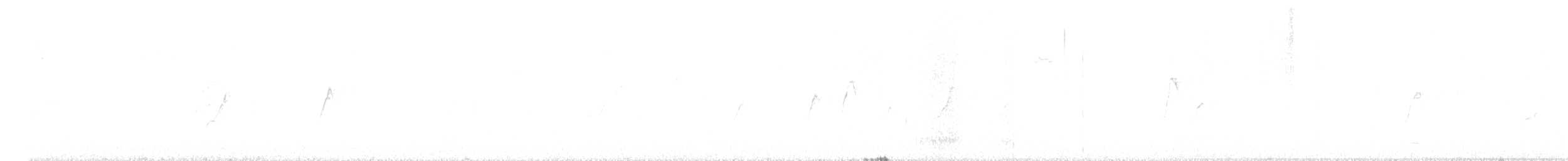 Common Chiffchaff (Common) - ML616591190