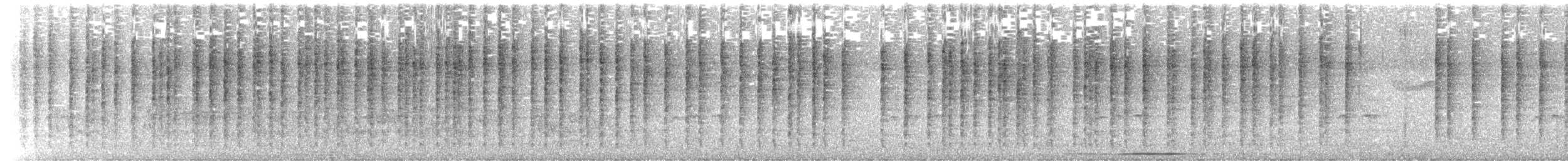 Troglodyte à face pâle - ML616591449