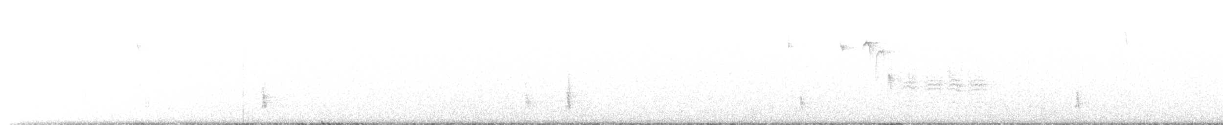 Дрізд-короткодзьоб плямистоволий (підвид faxoni/crymophilus) - ML616592933