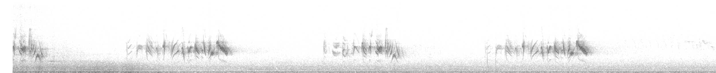 Braunaugenvireo (arizonae) - ML616594322