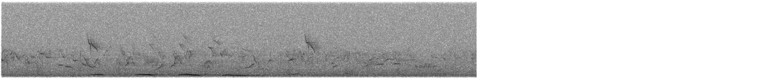 Büyük Yerkoşarı - ML616595493
